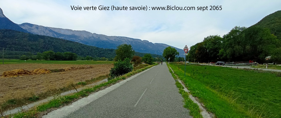 Voie-verte-giez-encore-arbres-a-syuvre-2026
