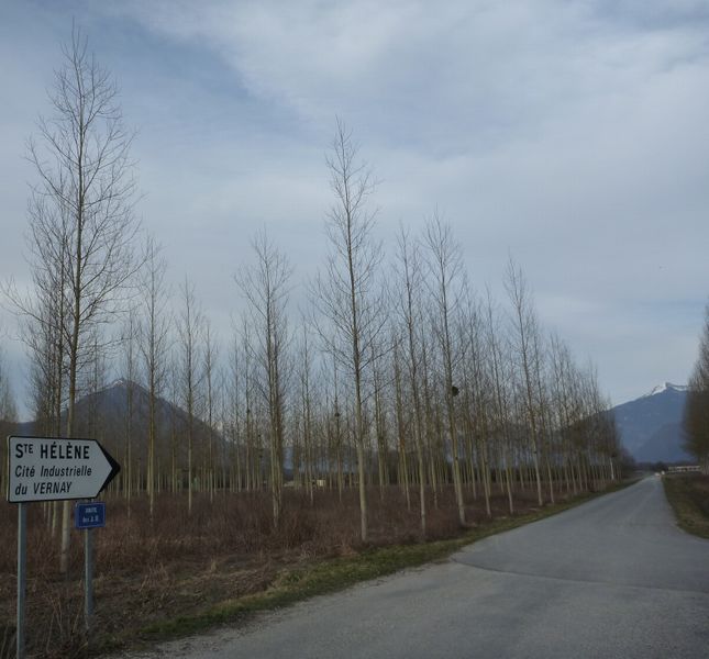St helene sur Isere : cit� du Vernay : petite route cyclable tranquille