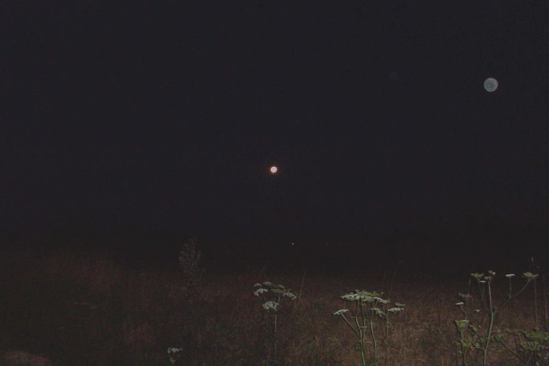 Nuit cyclotouriste , nuit de Chine, la magie, l'&eacute;toile du Berger (V&eacute;nus) la Lune,et la cigue tout un po&egrave;me, tout un symbole,