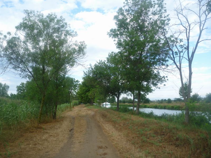 La piste cyclable le long du canal du midi est un peu .. champ&ecirc;tre disons