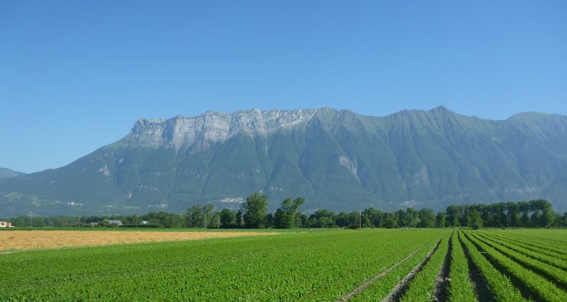 Les ar&ecirc;tes terminales des Bauges : L'Arclusaz, vus de la combe de Savoie en 2010