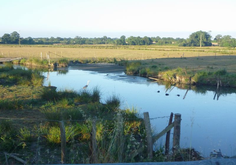 Le marais poitevin n'est pa loin