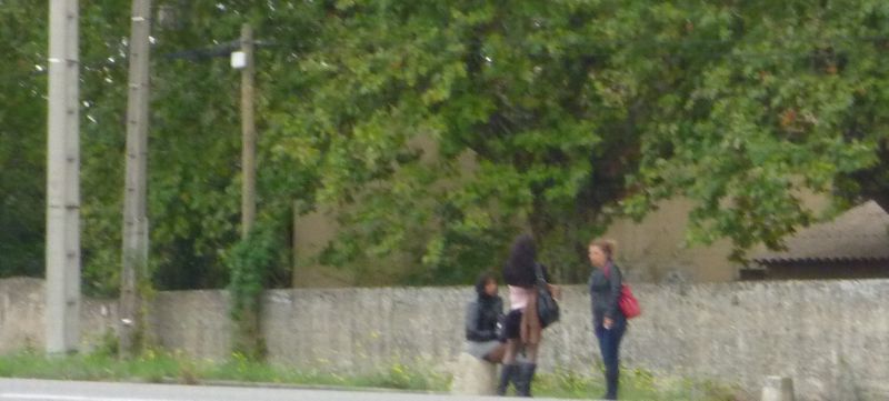 Ya pas que le glaude qui p&eacute;ripate le long de la via Rh&ocirc;na ..