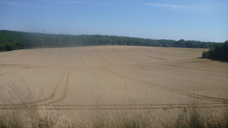 Photo-longer-seine-002