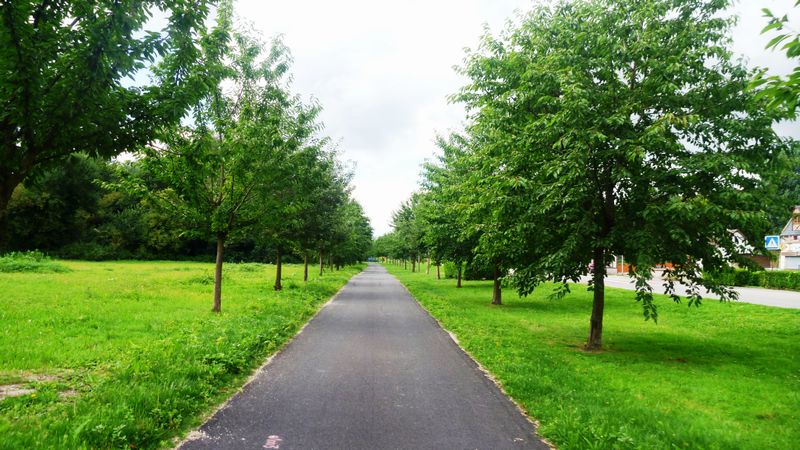 Sortie de Rouen en 2013 : val de Seine, après le port, les pommes..