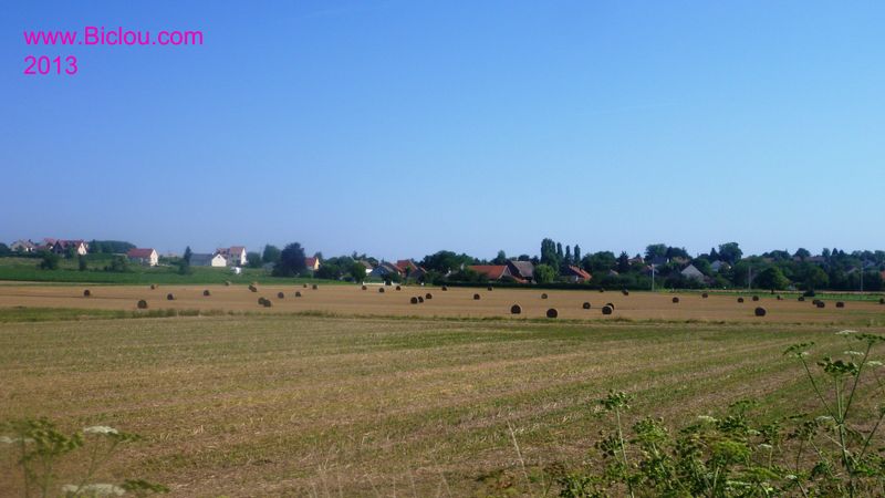 Campagne de Saône et loire