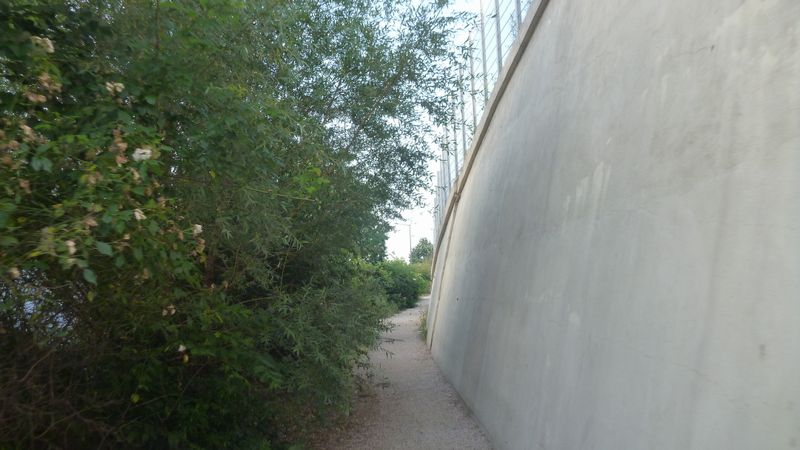 Le balisage vélos et ViaRhôna apparait enfin en 2016 Sur les quais du Rhône à Lyon