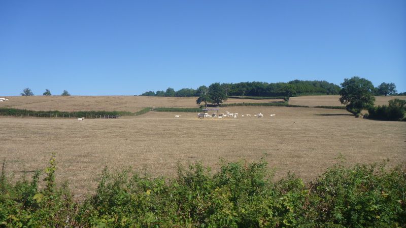 campagne bourgignone campagne bourgignone