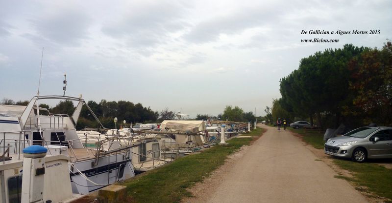 Le long du canal du Rhône à Sète en 2015 vers Aigues mortes , depuis Gallician sur ViaRhôna