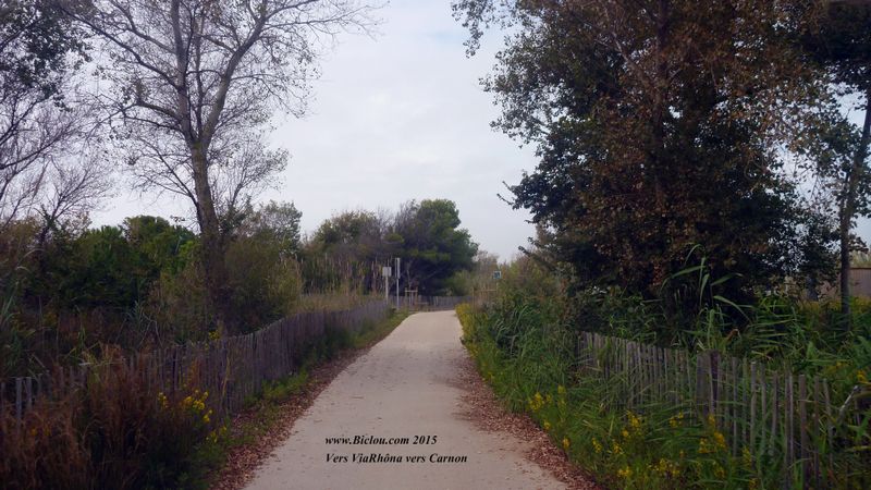 Voie verte du littoral langedocien menant à Carnon : Eurovélo 8 et ViaRhôna 2015