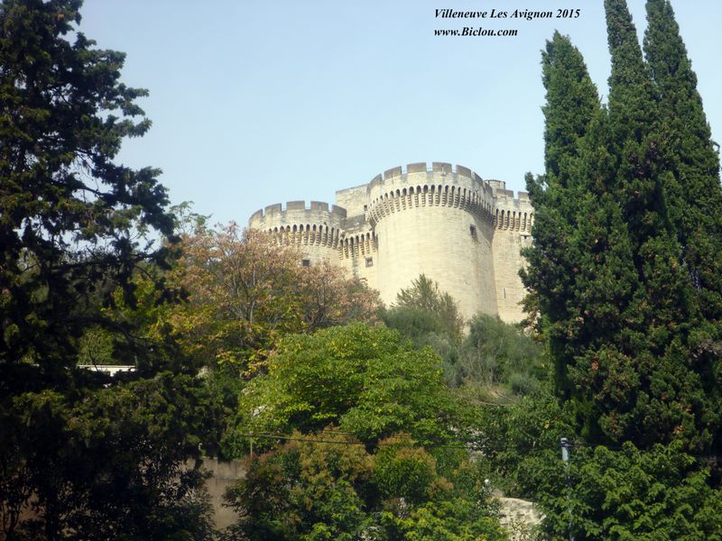 Château de Villeneuve Les Avignon