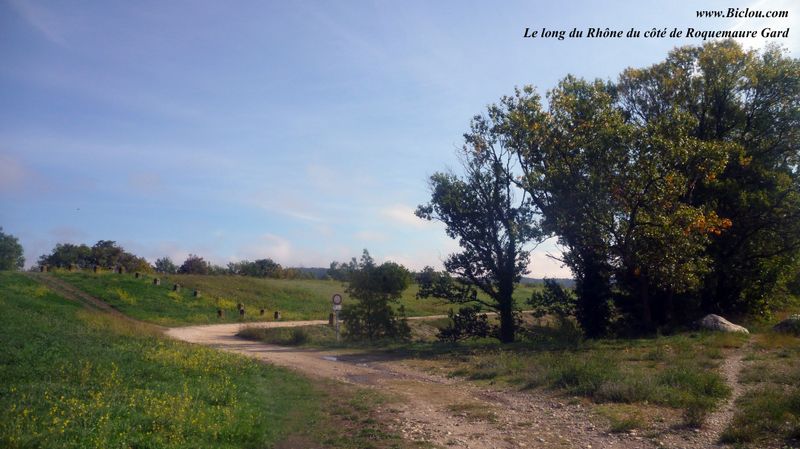 ViaRhôna : devrait emprunter ce chemin avant Roquemaure