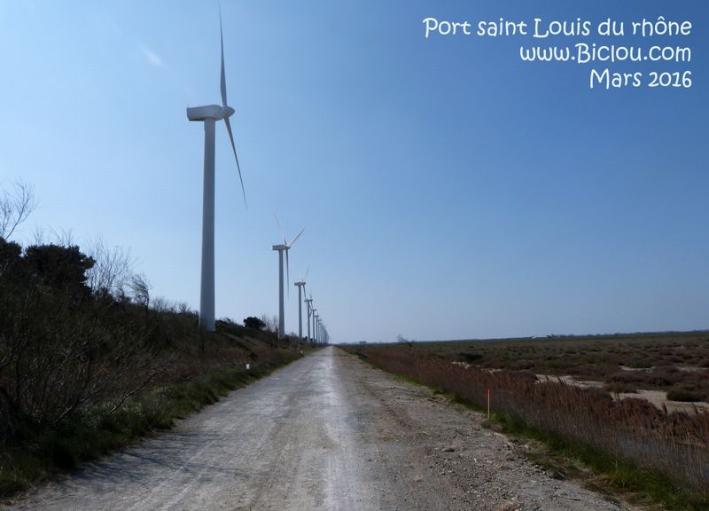 Nous longeons les éoliennes de Port saint Louis du Rhône