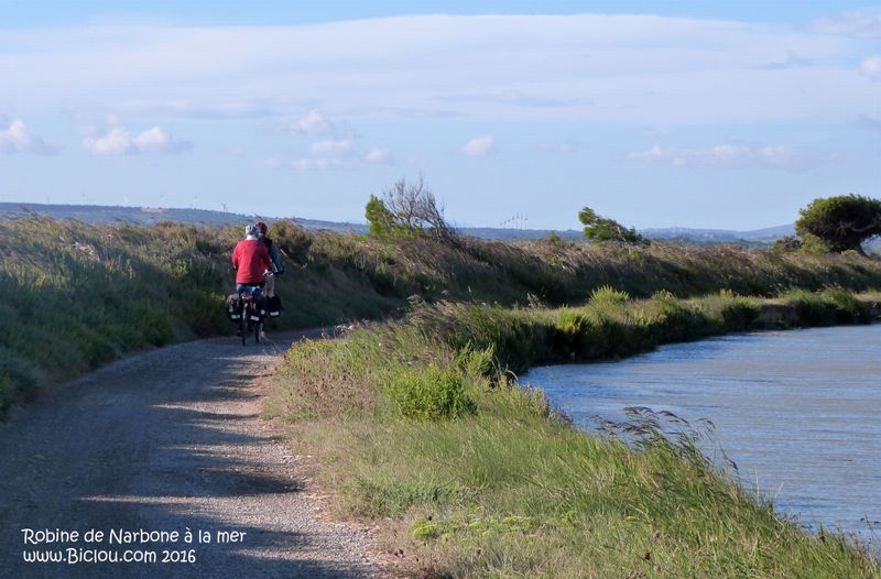 Tandem le long de la robine de Narbonne en 2016