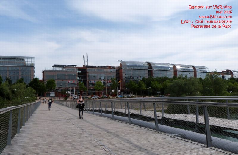 La passerelle de la paix entre caluire et la cité internationale sur le Rhône à Lyon