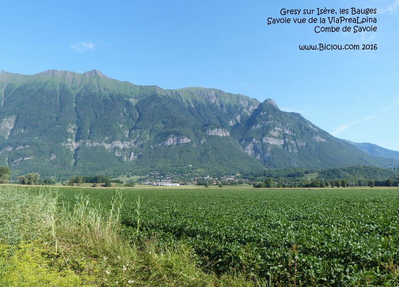 Grésy sur Isère, les Bauges vus de la Combe de Savoie : ViaPreAlpina 2016