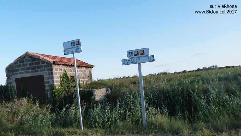 Bifurcation sur ViaRhôna : Arles ou saint Gilles