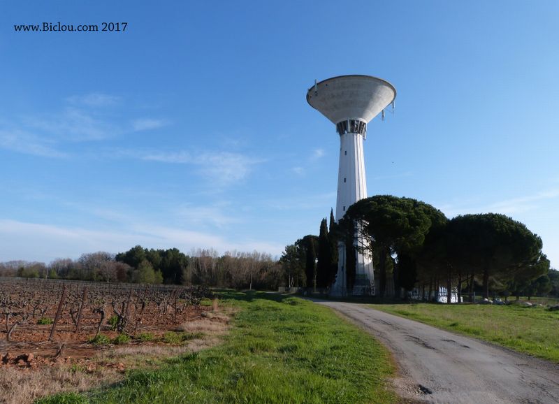 Zouli château d'eau, du côté de Farges : claudio les aime car ils démarquent le sommet de la côte