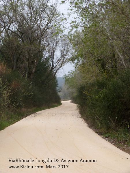 travaux ViaRh&ocirc;na avignon Aramon long rh&ocirc;ne et D2 en 2017