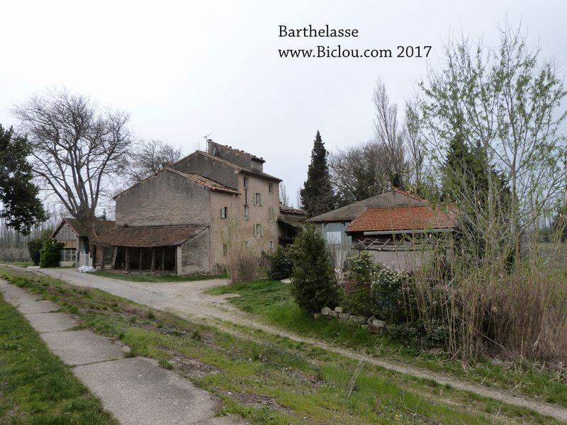 Vielles maisons dans la zone de la Barthelasse 2017