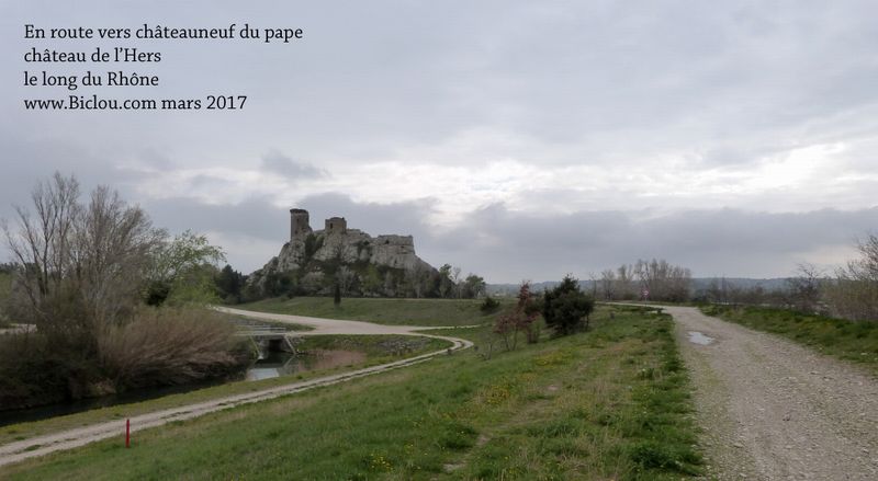 Sur ViaRhôna en mars 2017 : En route vers ChâteauNeuf du pape, sur le halage du rhône, château de l'Hers..