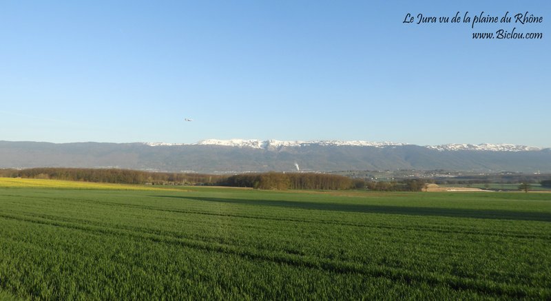 Le jura vu de la plaine Genevoise du Rhône