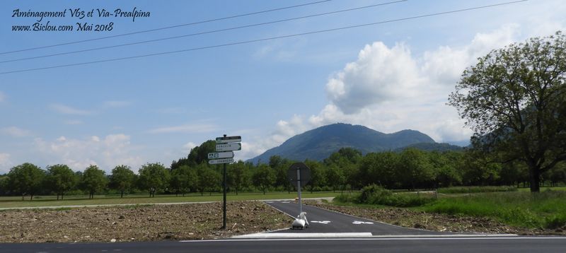 Croisement d'avec la V63 au Touvet, venue de Chambéry