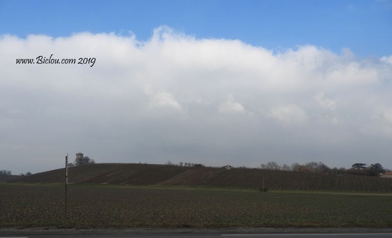 Vignes Genevoises