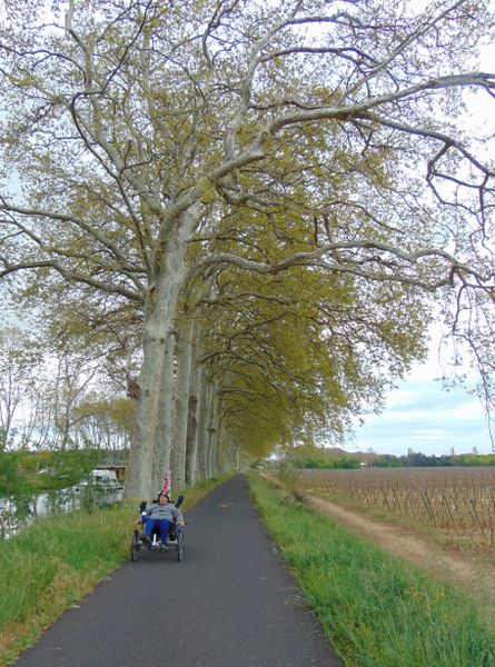 Le long du canal du midi, voie refaite à neuf ici