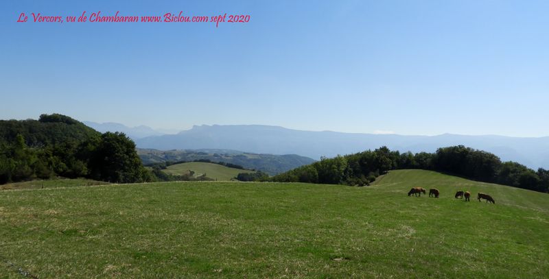 Belle Vue endorphinatoire , sur le Vercors, depuis le plateau de Chambaran