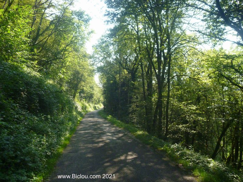 Passage en for&ecirc;t avant Arinthod