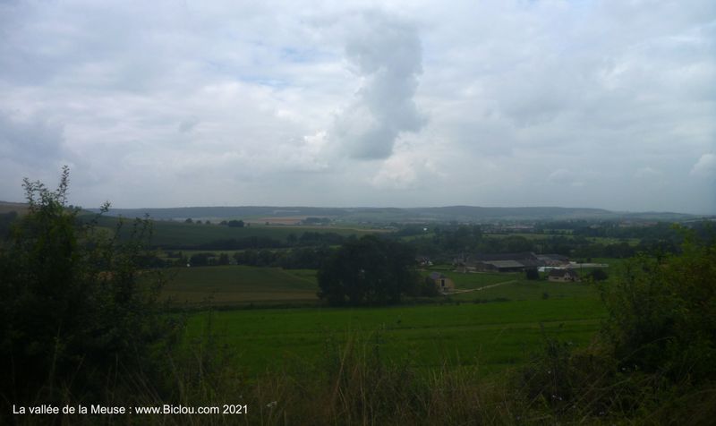 Vall&eacute;e de Meuse (peu avant Mouzon)