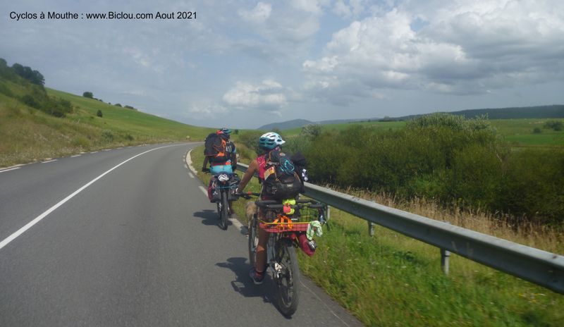 Cyclos &agrave; chiens sur la route