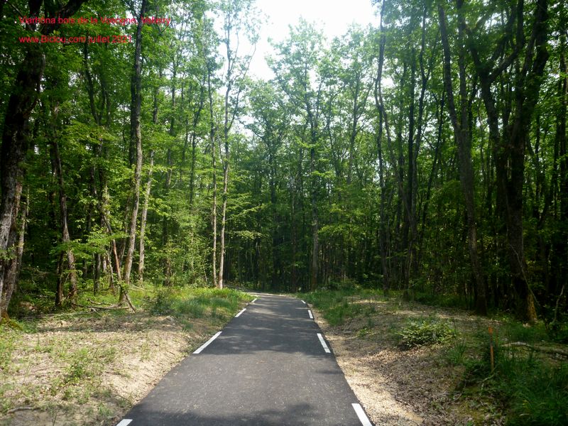 La voie verte des Bois de Vesogne sur ViaRh&ocirc;na (V62) (Valleiry)