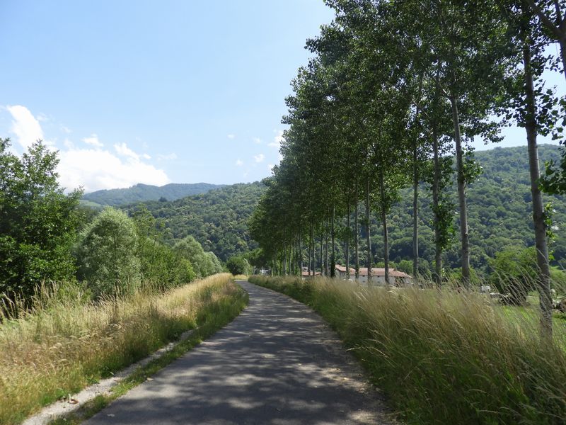 Grenoble ; Belle ombre en direction de Gi&egrave;re et Dom&egrave;ne par voie verte Is&egrave;re