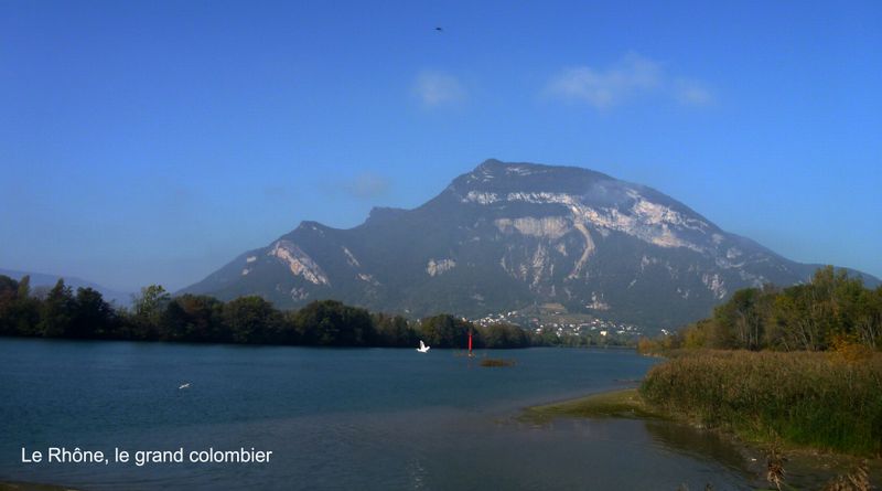 Le Rh&ocirc;ne et le Grand colombier