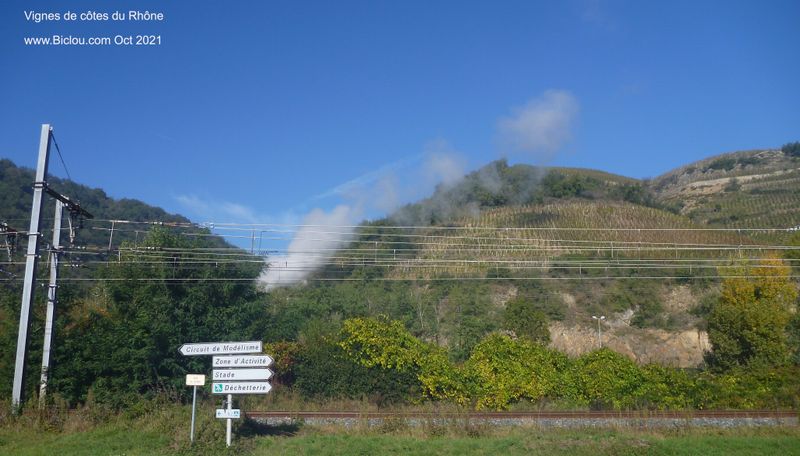 Vignes &agrave; Ampuis