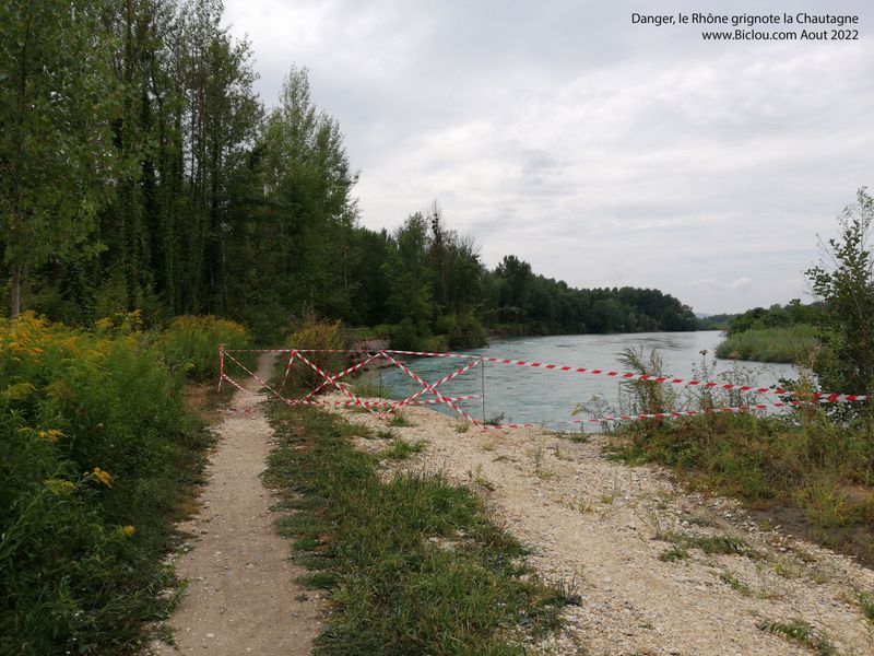 Le Rh&ocirc;ne grignote la for&ecirc;t de Chautagne