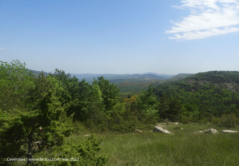 Paysage des C&eacute;vennes