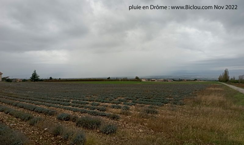 La pluie a (un peu) arros&eacute; la contr&eacute;e Dr&ocirc;moise