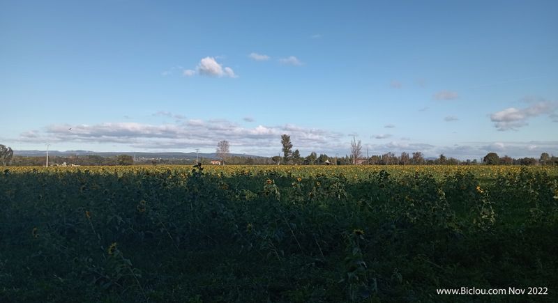 La plaine du Rh&ocirc;ne du côt&eacute; de Pierrelatte