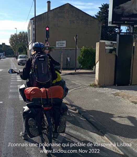 Sacocharde Polonaise vue &agrave; Avignon en 2022