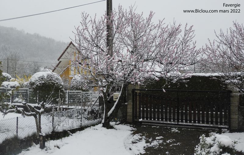 Arriv&eacute;e en Favergie, sous la neige