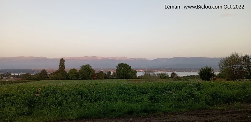 Le L&eacute;man au petit matin .. chagrin ..
