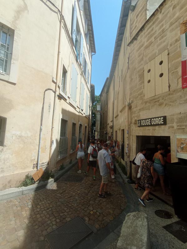 Cohue et Gnons en Avignon