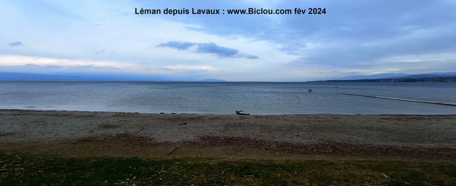 Le Léman, vu depuis Lavaux
