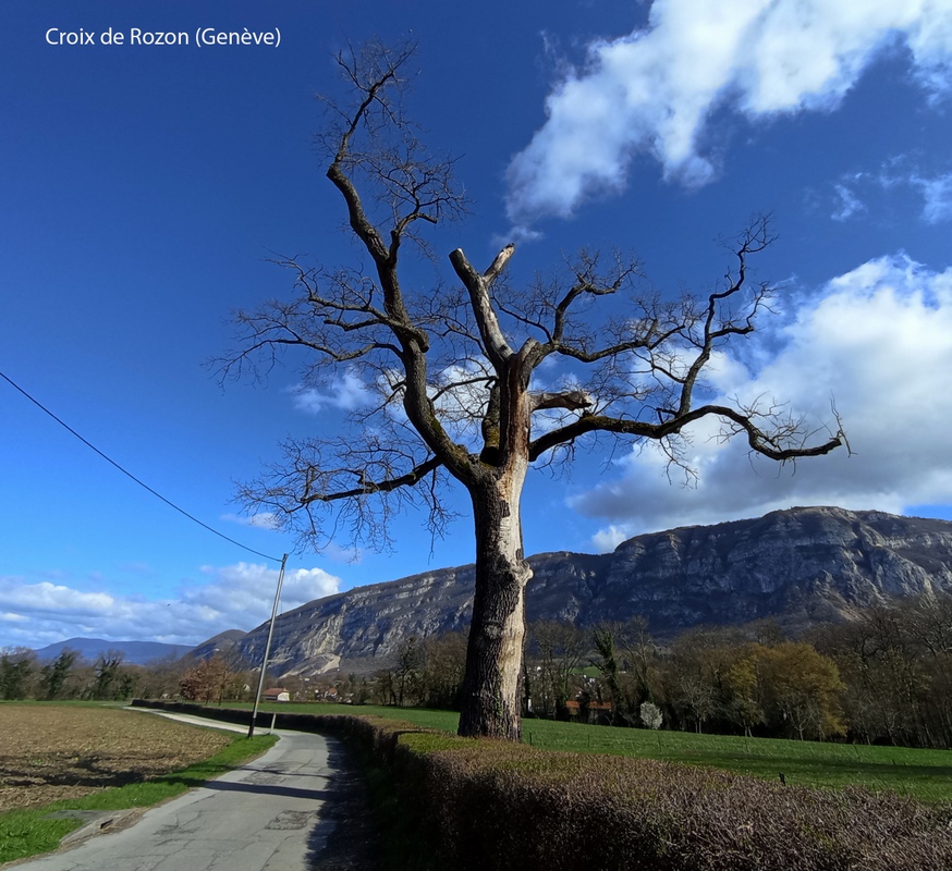 Croix de Rozon (Suisse)