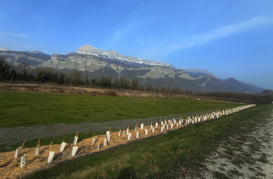 Vu de la dent de Crolles depuis la vallée du Gresivaudan