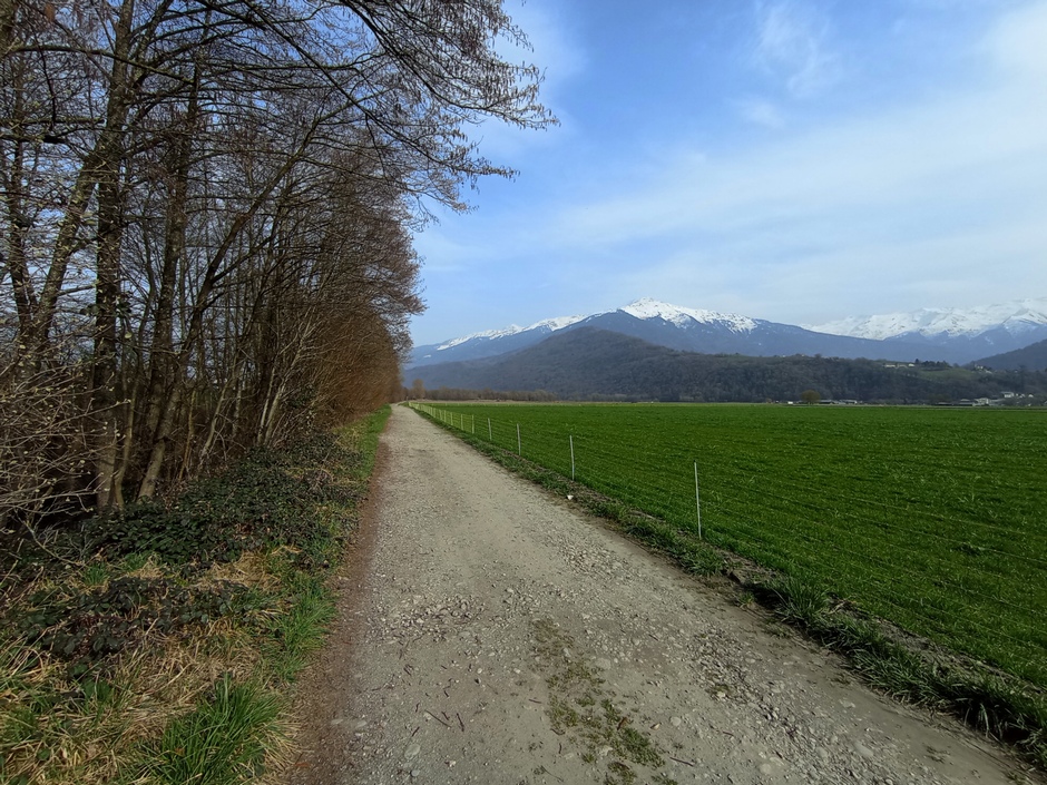 Le long de l'autoroute A 430 , du côté d'Aiton