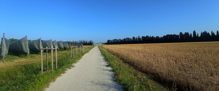 Sur la voie verte de Cavaillon à château-Renard